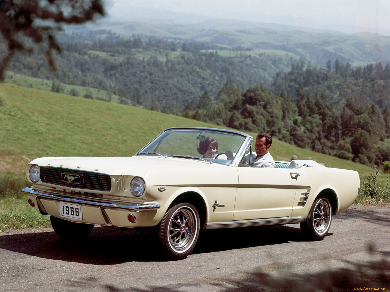 , mustang